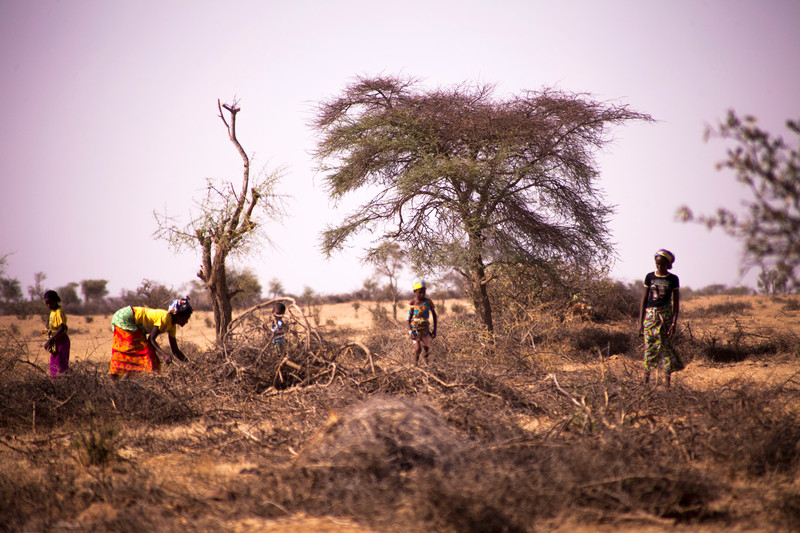© Mamadou Diop/ActionAid - Sénégal