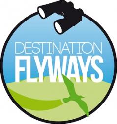 Destination Flyways