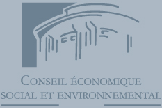 Conseil Economique Social et Environnemental - CESE