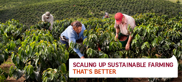 UTZ Certified est un programme et un label pour la production agricole durable de café, de cacao et de thé