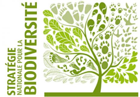 Irstea a obtenu, le 30 janvier 2014, le label « Engagement reconnu pour la stratégie nationale pour la biodiversité ». Décerné par le Ministère de l’écologie, du développement durable et de l’énergie, ce label reconnaît les actions entreprises dans les 9 centres de l’Institut en faveur de la préservation de la biodiversité.