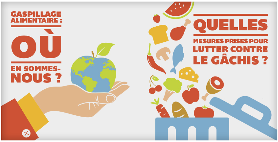 EcoSocioConso, média à l’initiative d’ E. Leclerc, publie un dossier complet sur le gaspillage alimentaire.