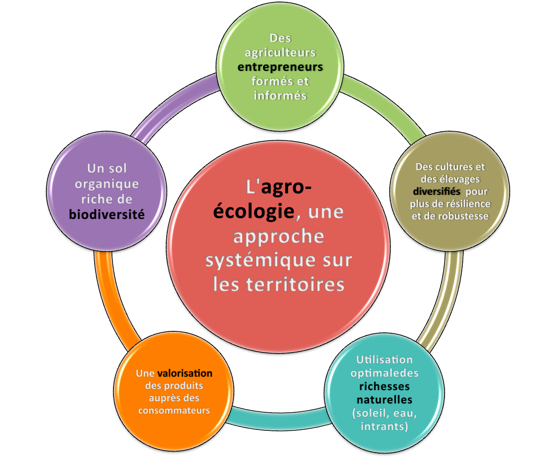 Qu’est-ce que l’agro-écologie ?