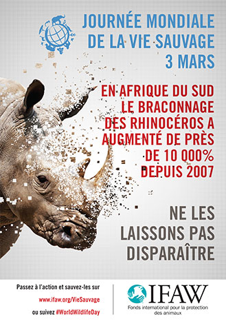 Ne laissons pas disparaître les rhinocéros