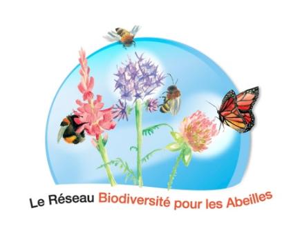 Le Réseau Biodiversité pour les Abeilles