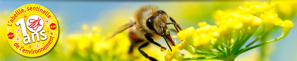 Du 18 au 20 juin 2015 autour d'apiculteurs passionnés : les APIdays, les 10ème Journées Nationales du programme Abeille sentinelle de l'environnement®