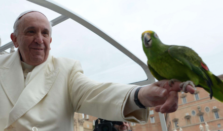 Le Pape François et l'écologie