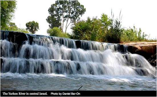 Dix fois plus d’eau dans les réserves naturelles d’Israël qu’il y a dix ans