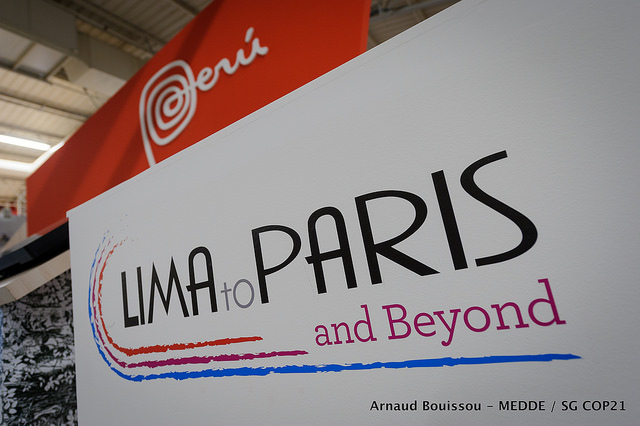 Plan d’Actions Lima-Paris (LPAA)