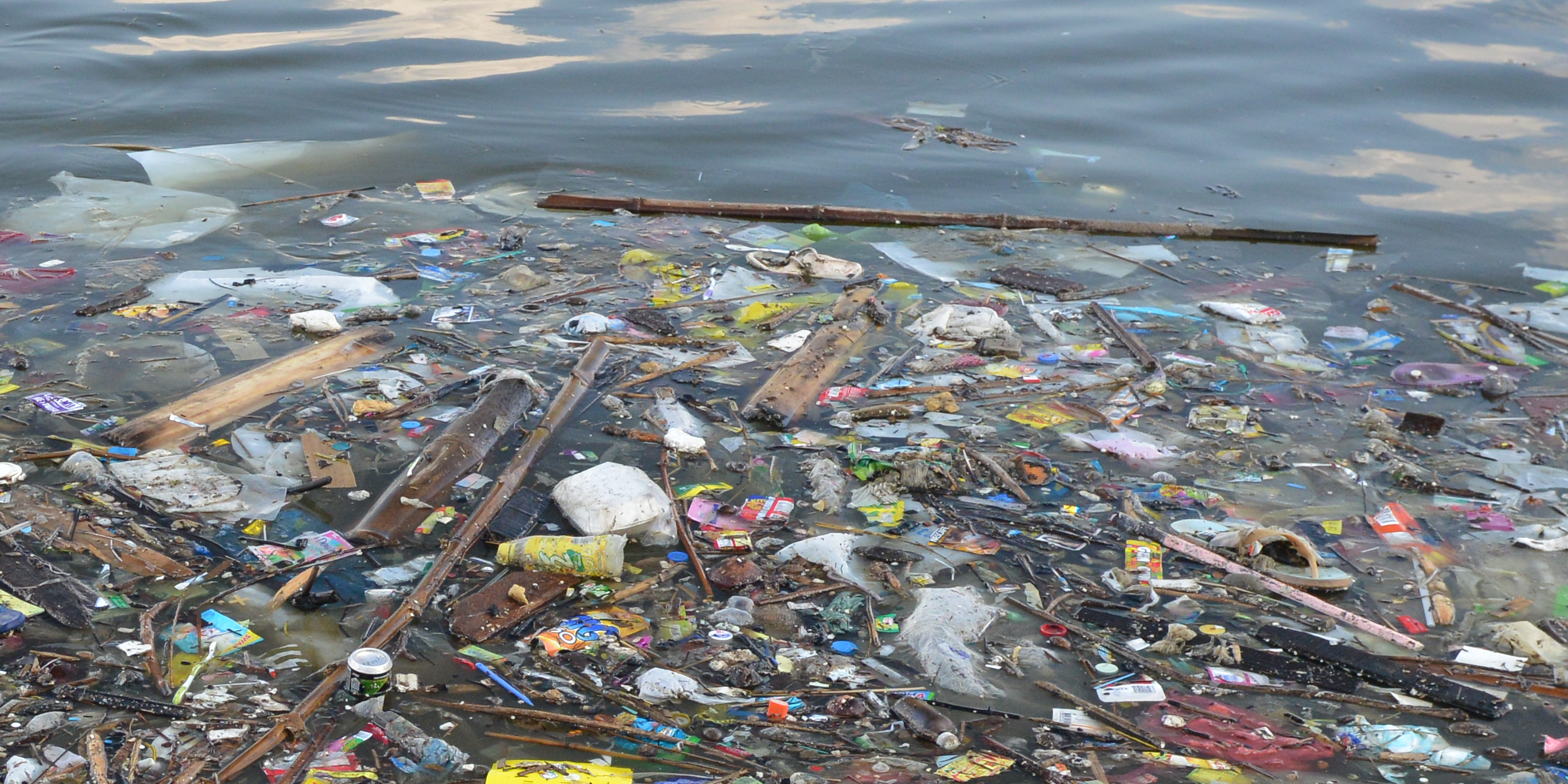 Appel pour un futur sans pollution plastique : 90 ONG demande à l'UE doit relever le défi