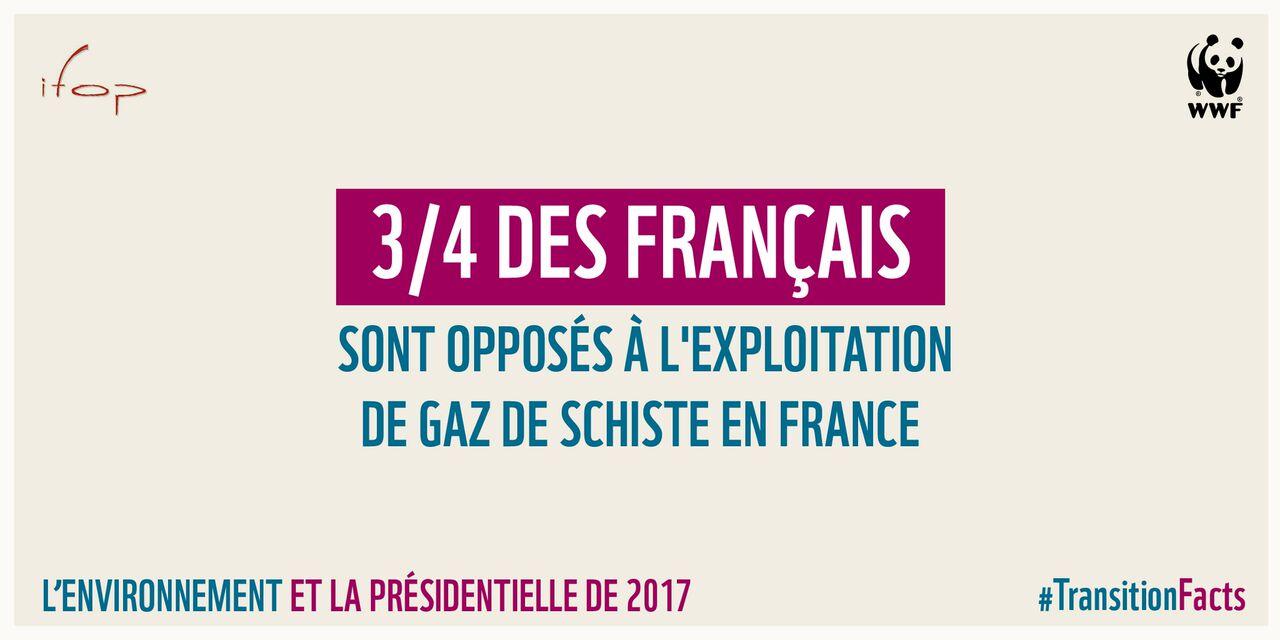 Sondage IFOP/WWF Environnement et Présidentielle 2017 : le choix des français