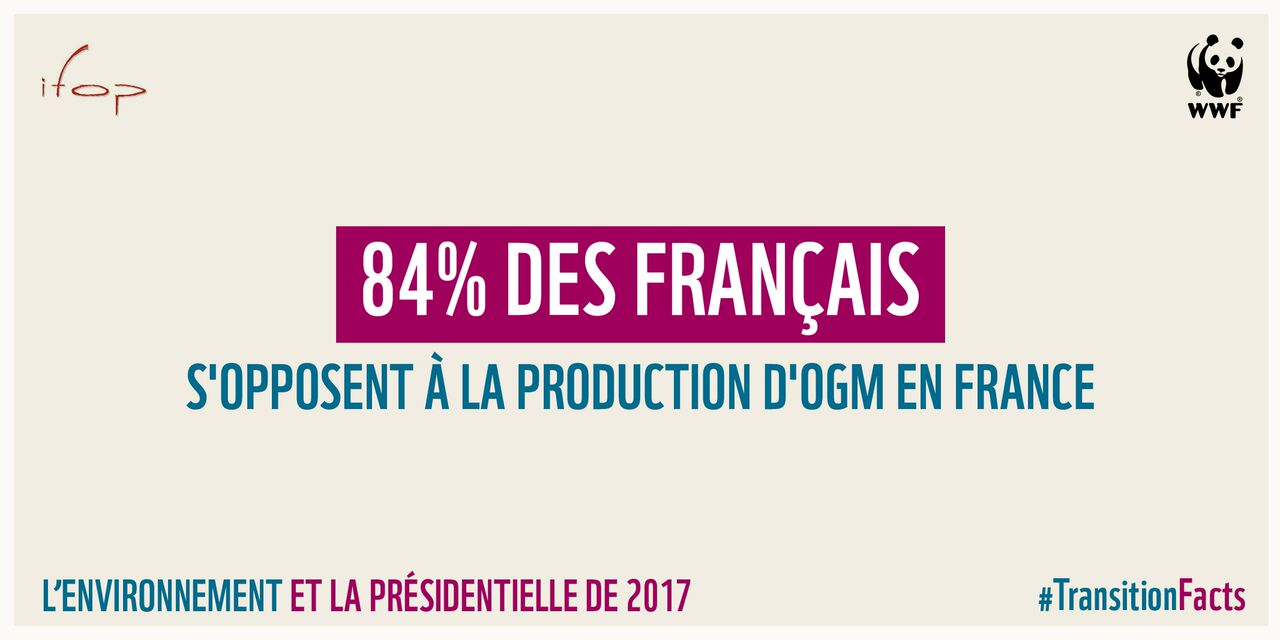 Sondage IFOP/WWF Environnement et Présidentielle 2017 : le choix des français