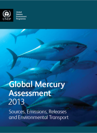 Rapport du PNUE sur L'Evaluation Mondiale du Mercure 2013