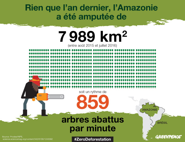La déforestation continue d’avancer dans le monde : chaque année, elle emporte environ 13 millions d’hectares de forêts, soit un quart de la surface de la France