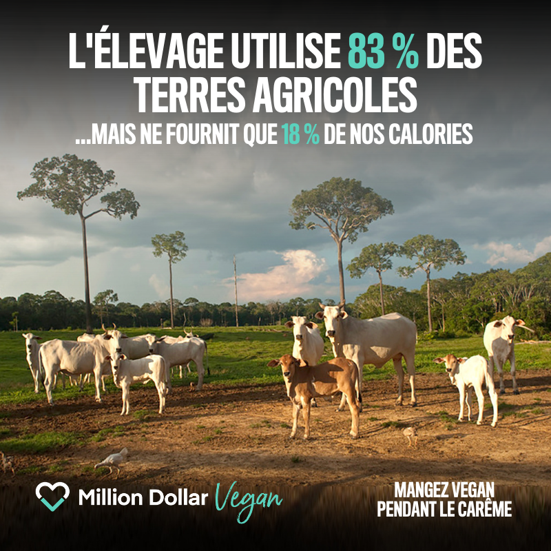 83_pourcent_des_terres_agricoles.png
