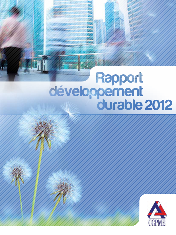 Rappoort Développement Durable 2012 de la CGPME