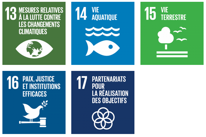 17 objectifs de développement durable