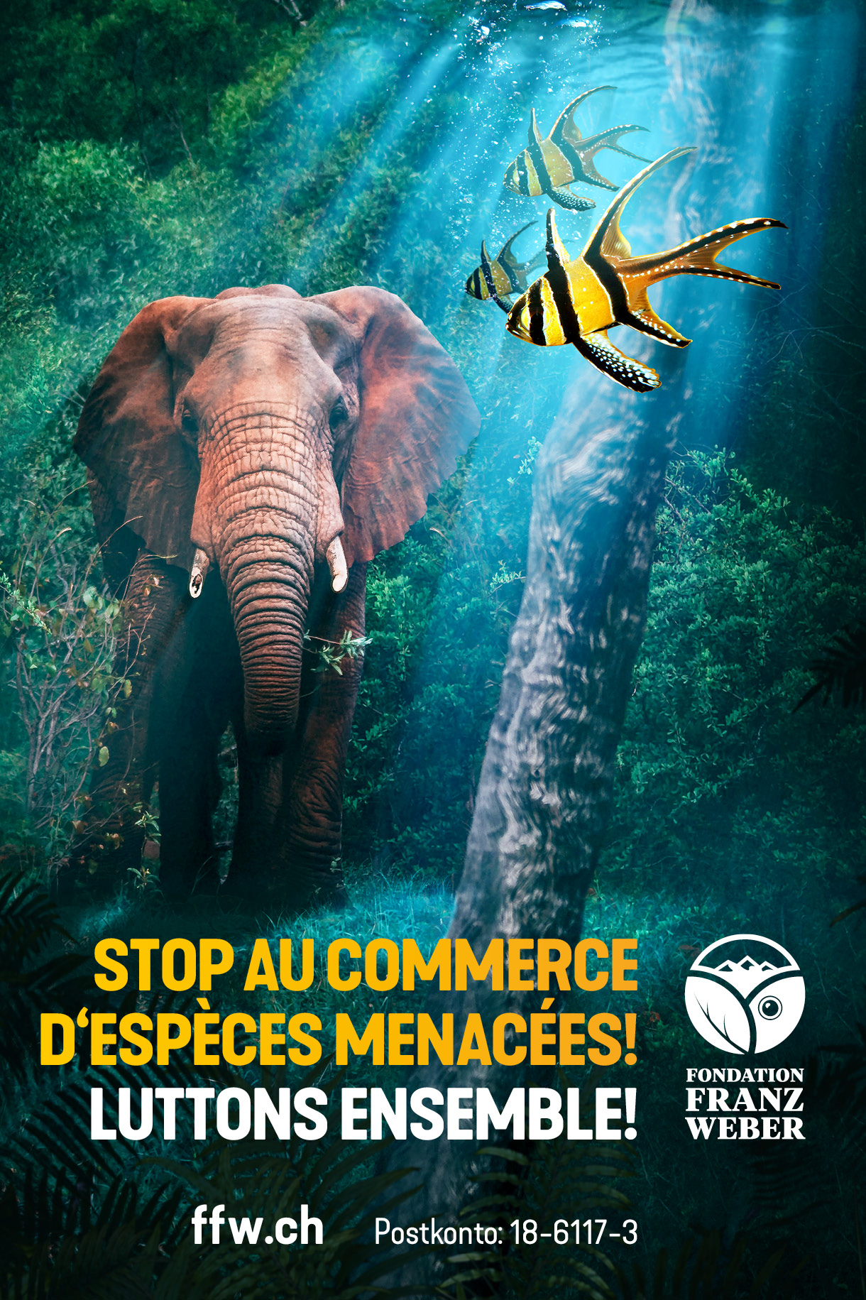 Stop au commerce de l’ivoire !