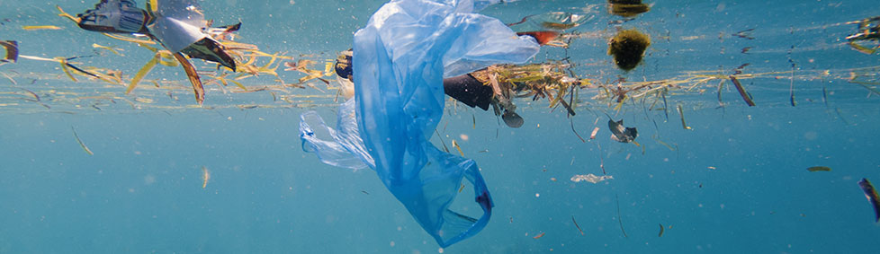La pollution des océans : le plastique en ligne de mire
