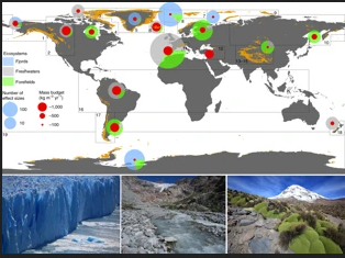 Le changement climatique modifie la biodiversité autour des glaciers selon une étude Irstea - IRD