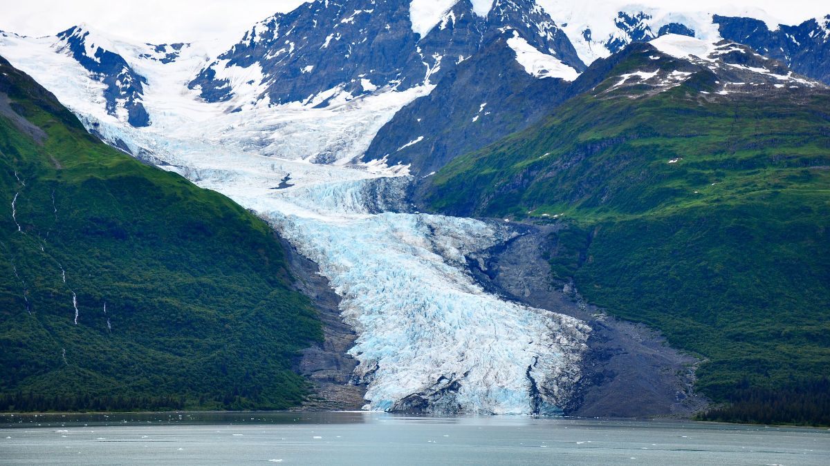 Le changement climatique modifie la biodiversité autour des glaciers selon une étude Irstea - IRD