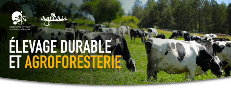 Agroforesterie et élevage durable