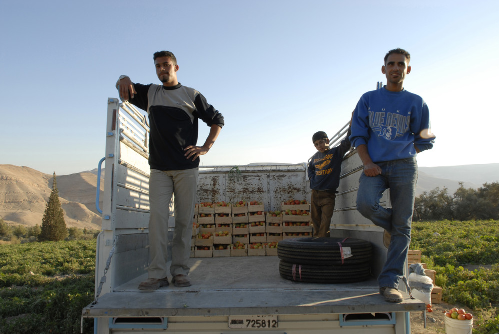 Dans une région reculée de Jordanie, des jeunes transportent la récolte de tomates du jour. La faim, la pauvreté, le chômage des jeunes et les migrations forcées sont autant de problèmes profondément enracinés dans les zones rurales. ©IFAD/Lana Slezic