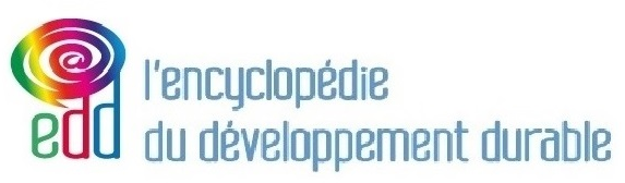 Le développement durable au temps du coronavirus : Episode n°1
