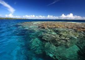 Comment mieux concilier pêche artisanale et protection de la biodiversité sur les récifs coralliens ?
