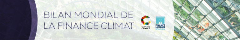 Bilan mondial de la Finance Climat 2020