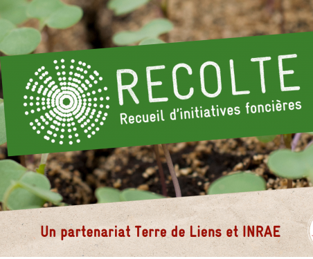 Lancement de la plateforme collaborative RÉCOLTE pour préserver les terres agricoles