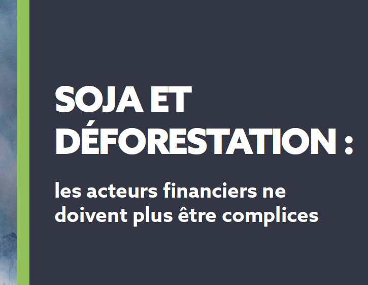 Climate Finance Day : les acteurs financiers appelés à agir contre la déforestation liée au soja.