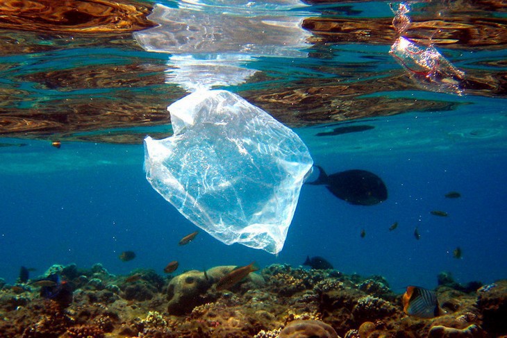 Semaine Européenne de Réduction des Déchets et Covid-19