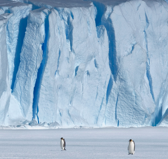 Déclaration d&rsquo;Antarctica 2020 suite à la réunion du Traité sur l&rsquo;Antarctique