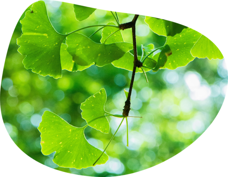 WENOW lance la 1ère plateforme d’engagement climat au monde avec 13 partenaires pionniers