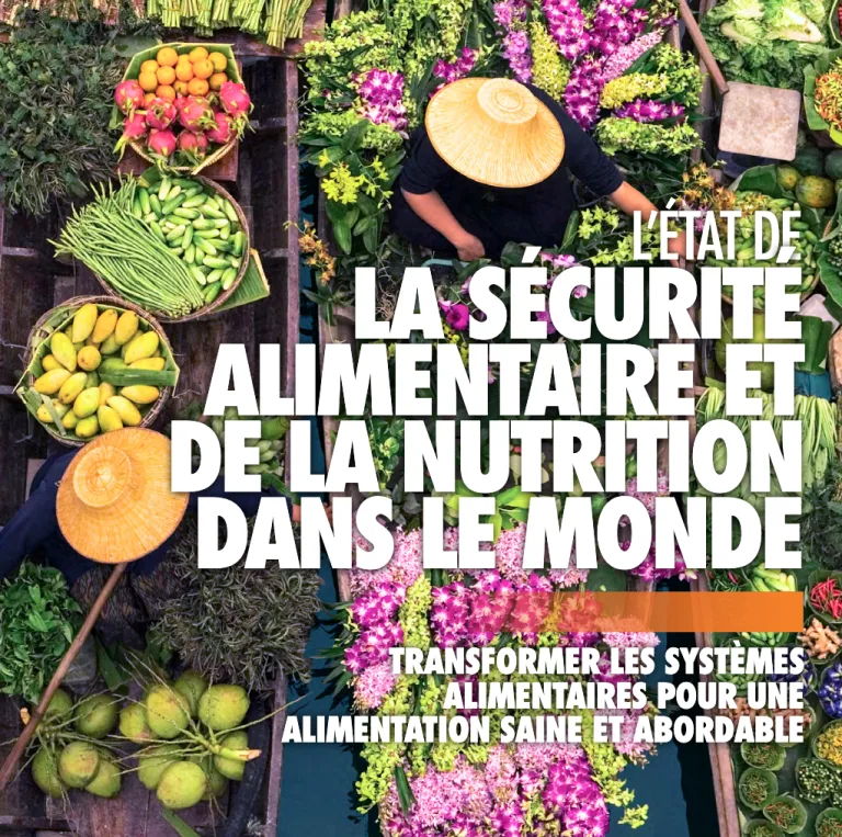 Sommet sur les systèmes alimentaires : 84 signataires appellent la France à sauver l’agriculture paysanne