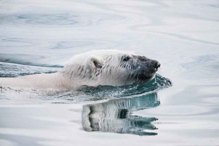 Le changement océanique amplifie la crise climatique