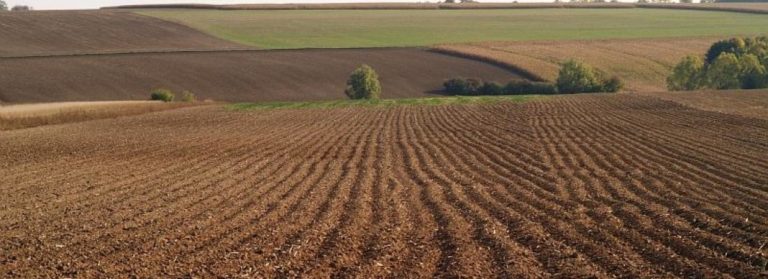 Résultats et enjeux des travaux du GIS Sol après 20 ans d’inventaire et de surveillance des sols