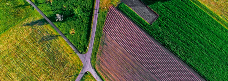 RIZE est la première plateforme certifiée pour la finance carbone dans l&rsquo;agriculture,