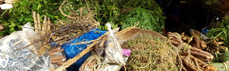 « Les substances d’origine végétales en Côte d’Ivoire » : restitution de l’expertise scientifique collective coordonnée par l’IRD