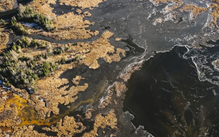 L’ONU plaide pour l’élimination du phosphore présent dans les eaux usées