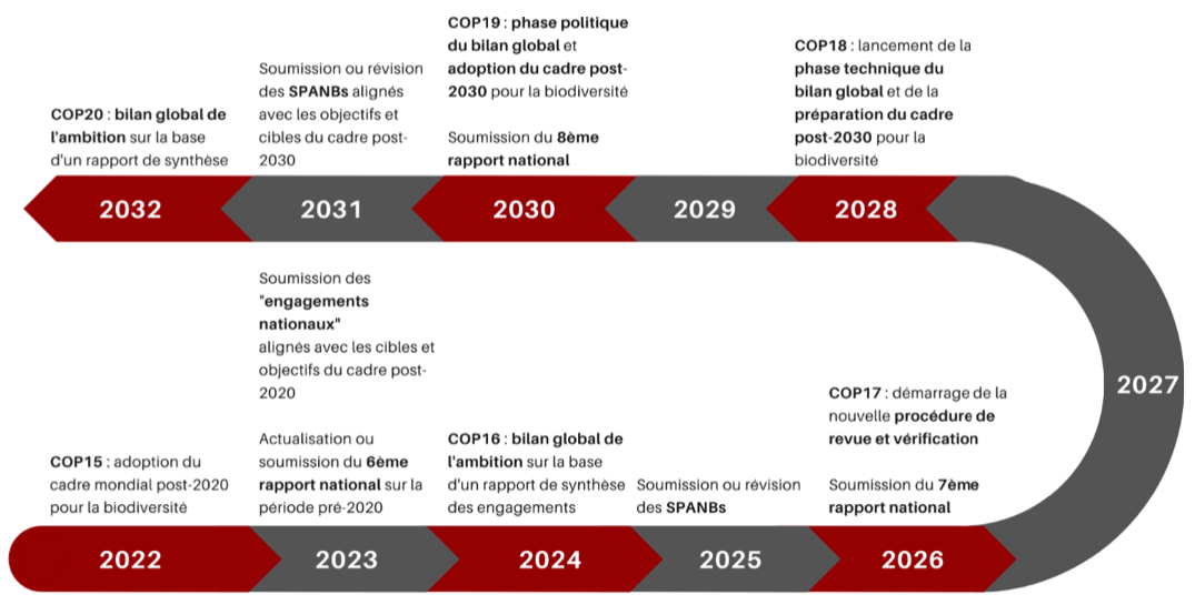 FIGURE 1. Possible calendrier 2022-2032 pour le mécanisme de revue