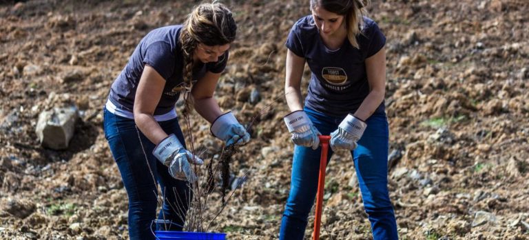 5 façons d&rsquo;agir pour réparer les dommages causés à notre planète