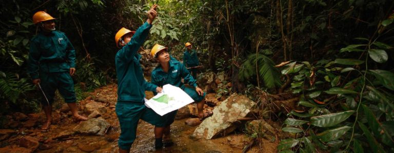 Les forêts peuvent aider à sortir des multiples crises que le monde traverse, selon la FAO