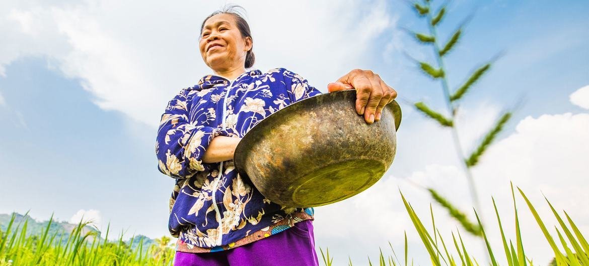 Le Thi Luan utilise du biochar pour fertiliser ses champs dans la commune de Quang Chu, au Vietnam.