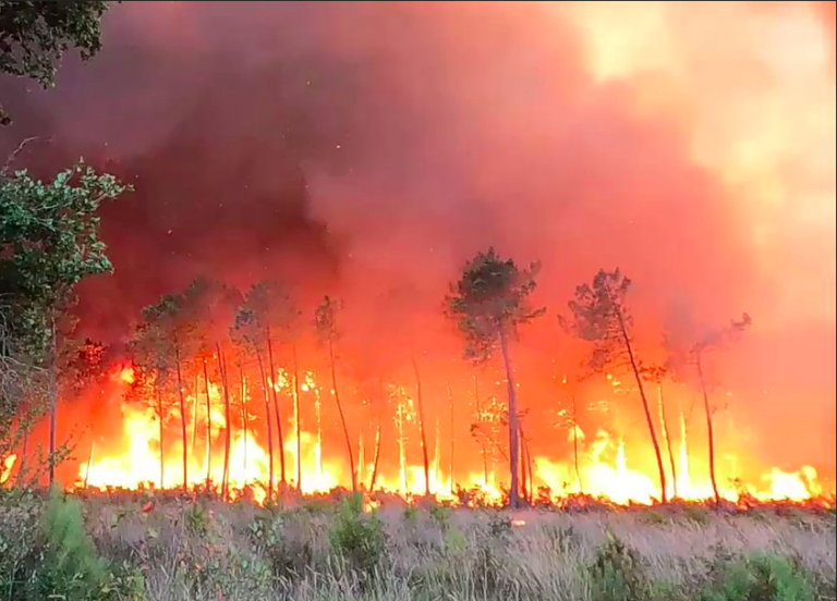 Feux de forêts en Gironde : il faut construire le monde qui vient rappelle la SNPN