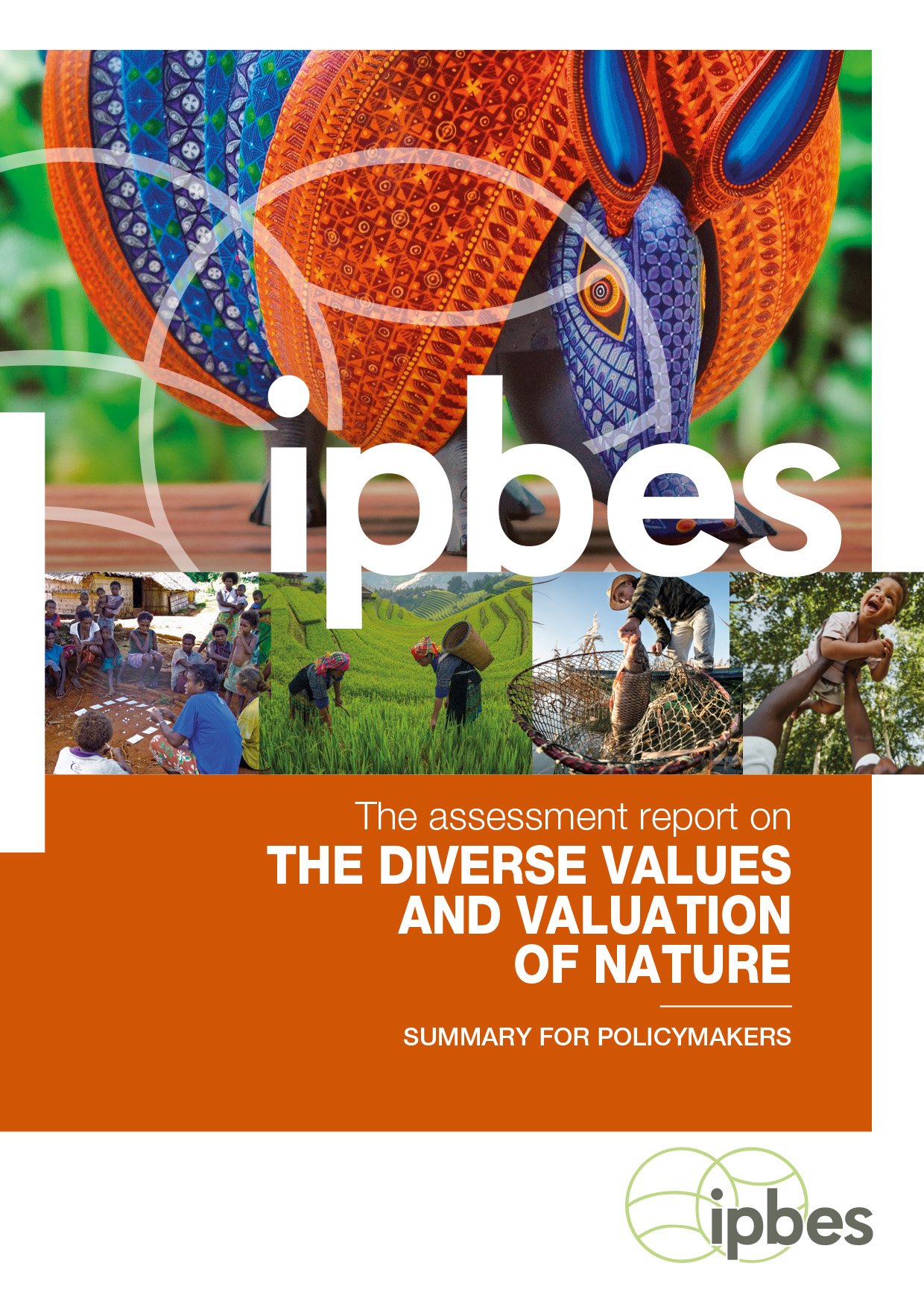 Rapport d'évaluation de la Plateforme intergouvernementale scientifique et politique sur la biodiversité et les services écosystémiques (IPBES)