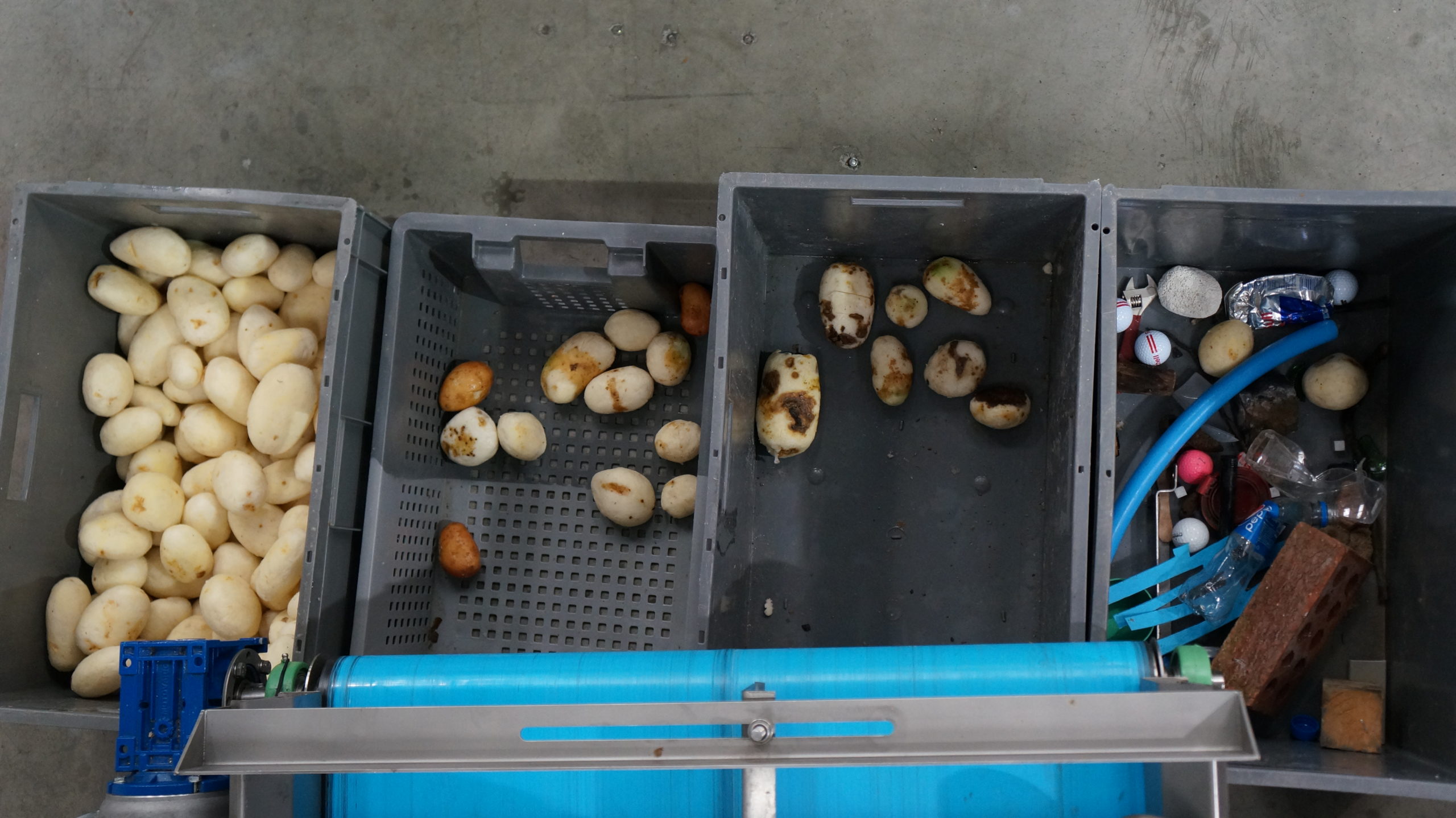 Comment les cultivateurs et les transformateurs de pommes de terre peuvent tirer profit des dernières technologies de tri