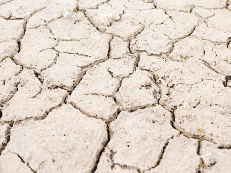 Sécheresse 2022 : un moment historique pour remettre en question notre gestion de l&rsquo;eau