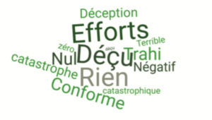 Graphique : Mots-clés utilisés par le groupe d’étude pour répondre à la question : « Quel est le bilan de l’action écologique d’Emmanuel Macron ? »